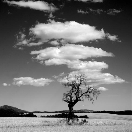 spontane bruidsfotografie rotterdam