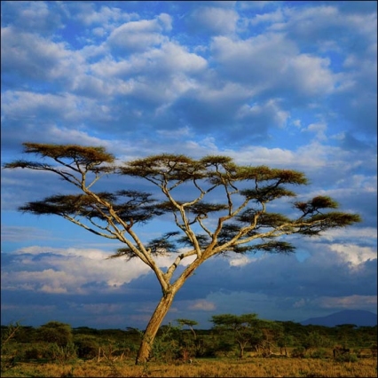 spontane bruidsfotografie purmerend