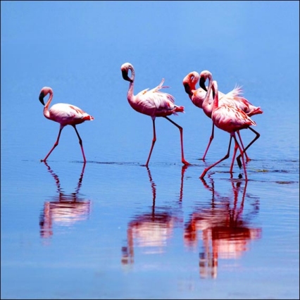 spontane bruidsfotografie hilversum