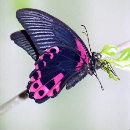 spontane bruidsfotografie bussum